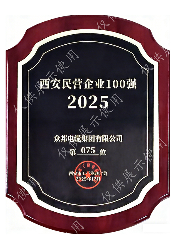 西安民营企业100强